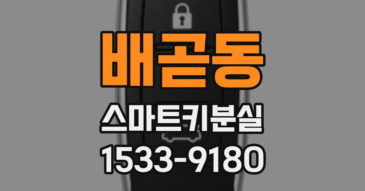 배곧동 스마트키분실