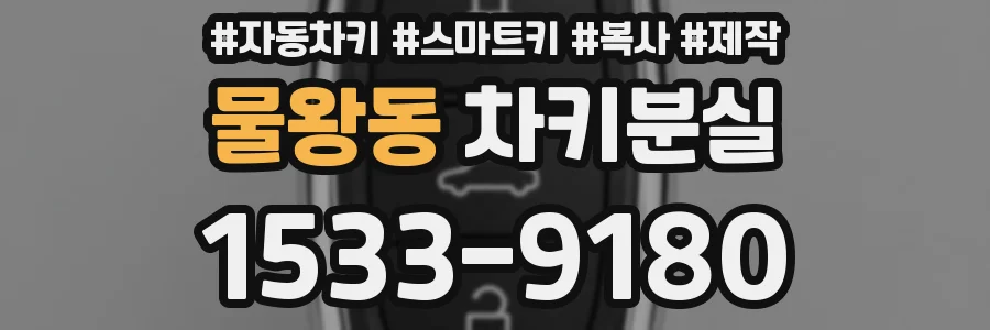 물왕동 차키분실