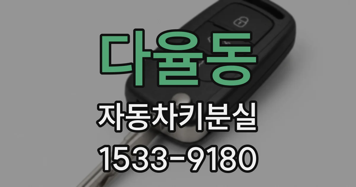 다율동 자동차키분실
