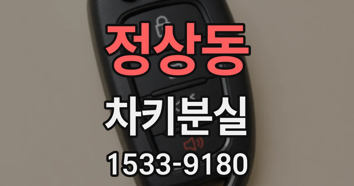 정상동 차키분실
