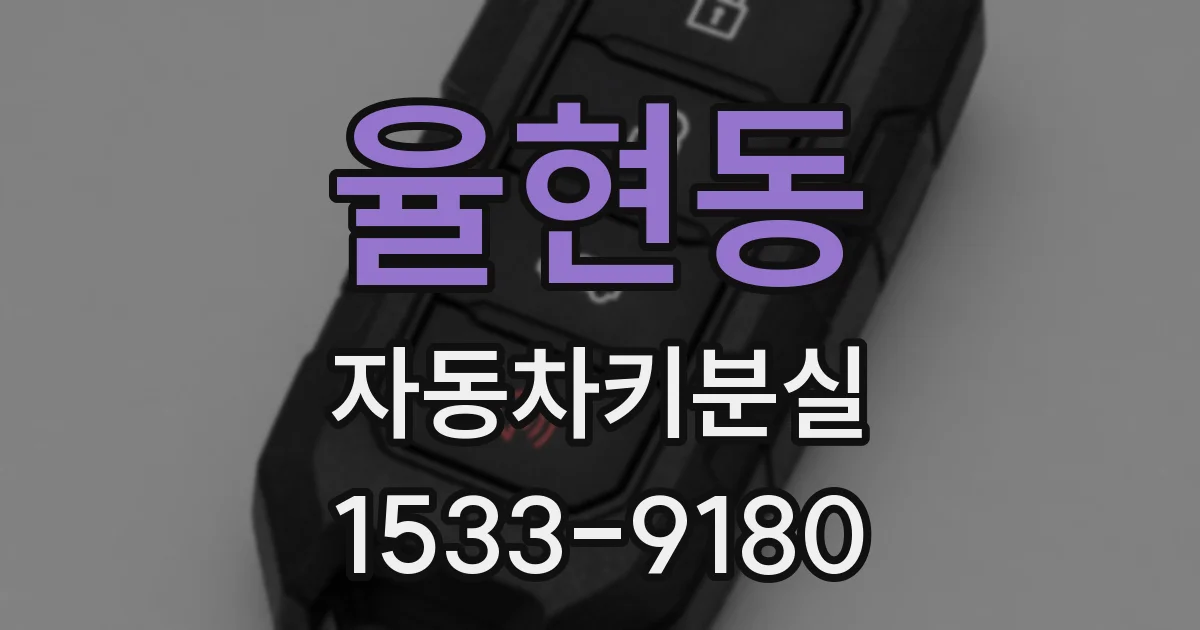 율현동 자동차키분실