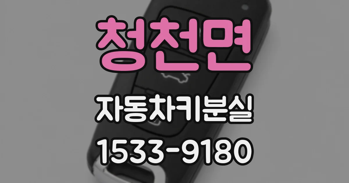 청천면 자동차키분실
