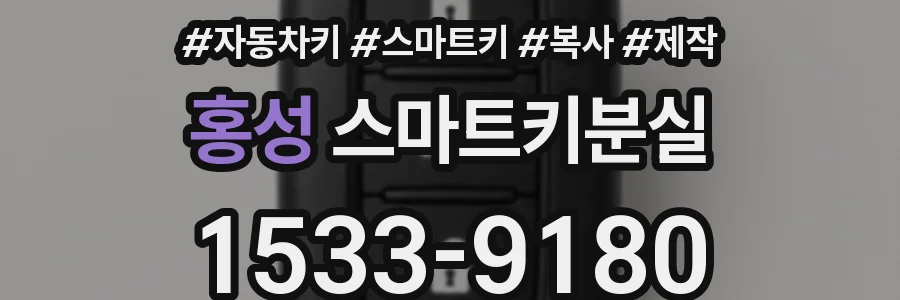 홍성 스마트키분실