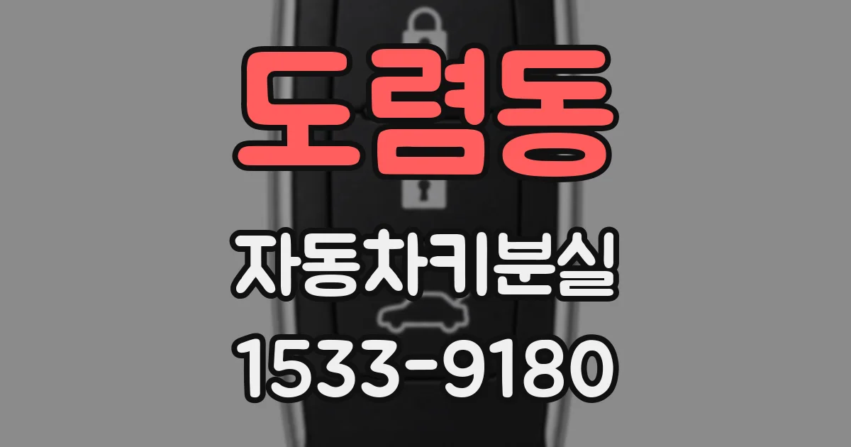도렴동 자동차키분실