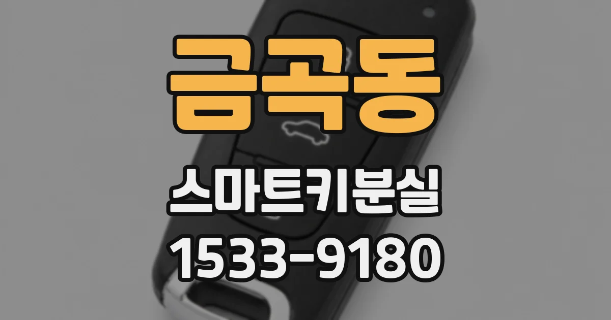 금곡동 스마트키분실