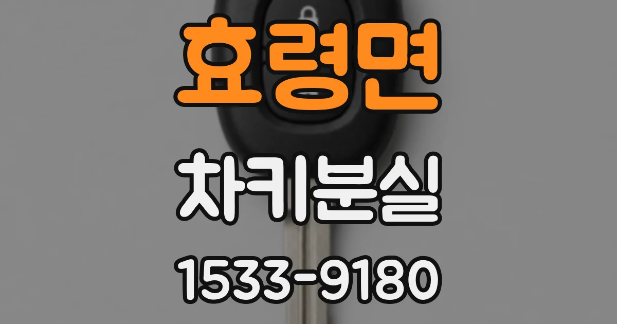 효령면 차키분실