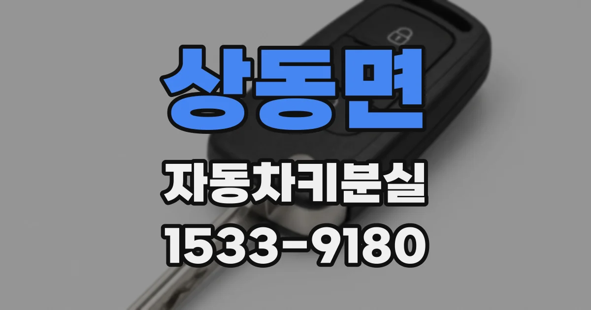 상동면 자동차키분실