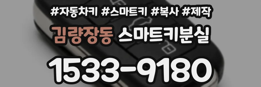 김량장동 스마트키분실