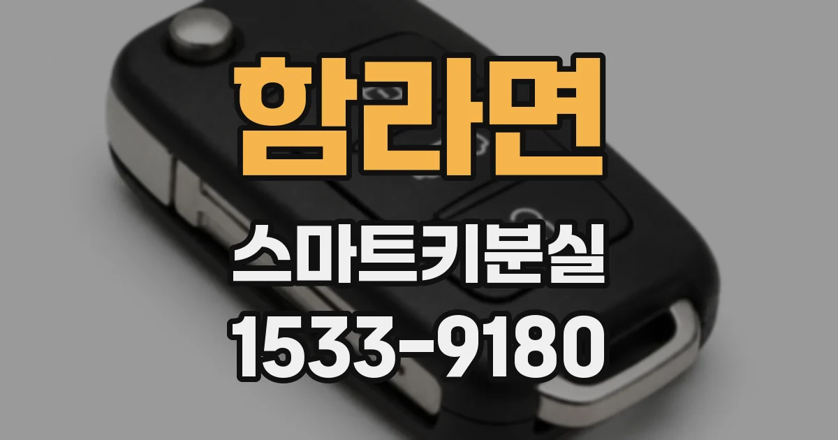 함라면 스마트키분실