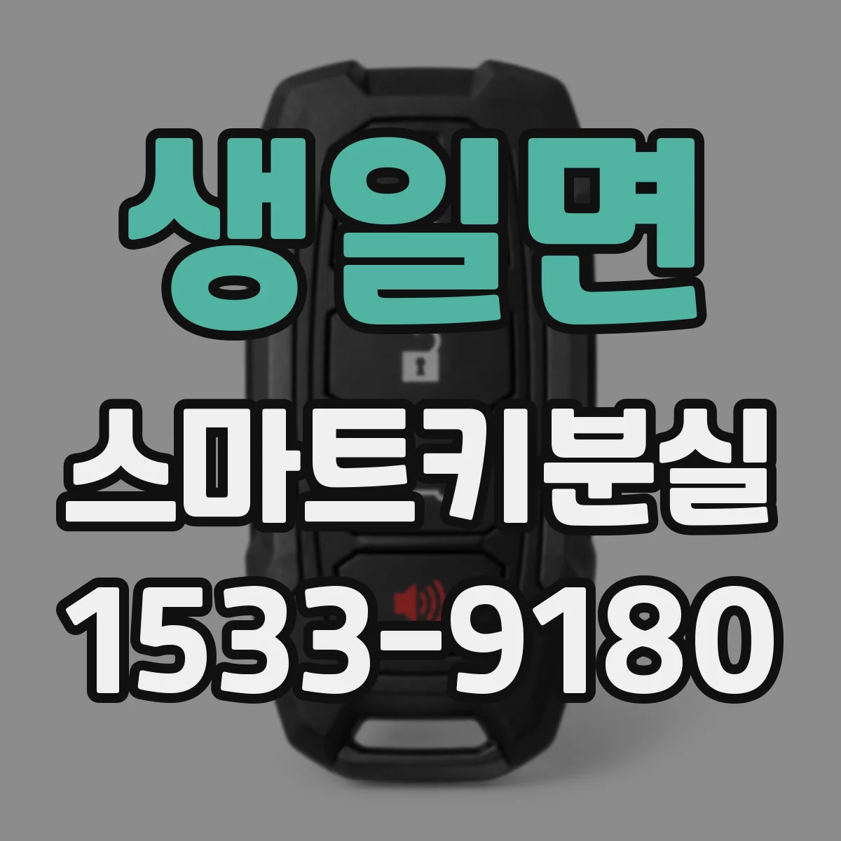 생일면 스마트키분실