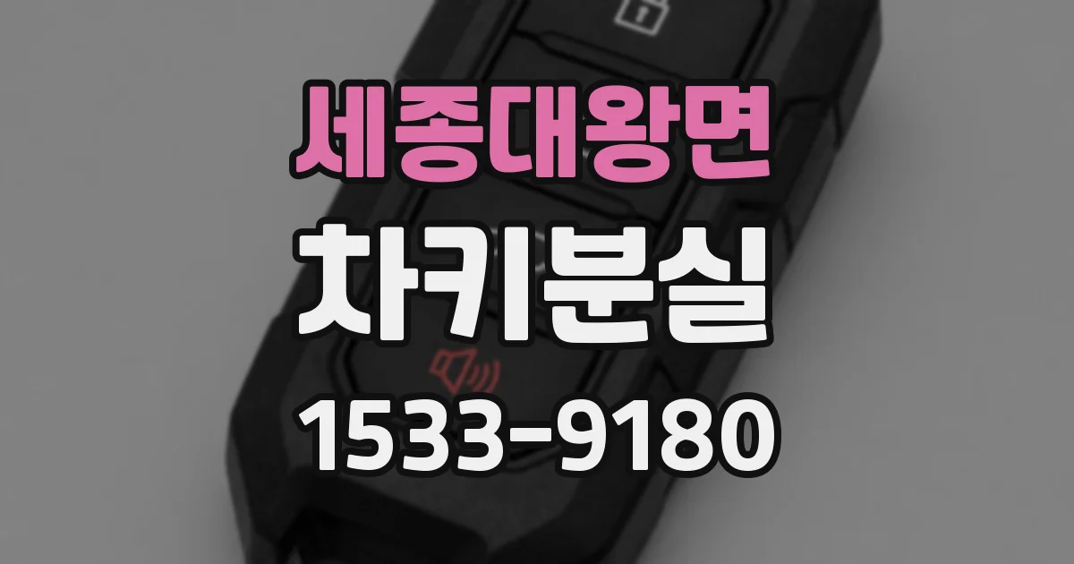 세종대왕면 차키분실