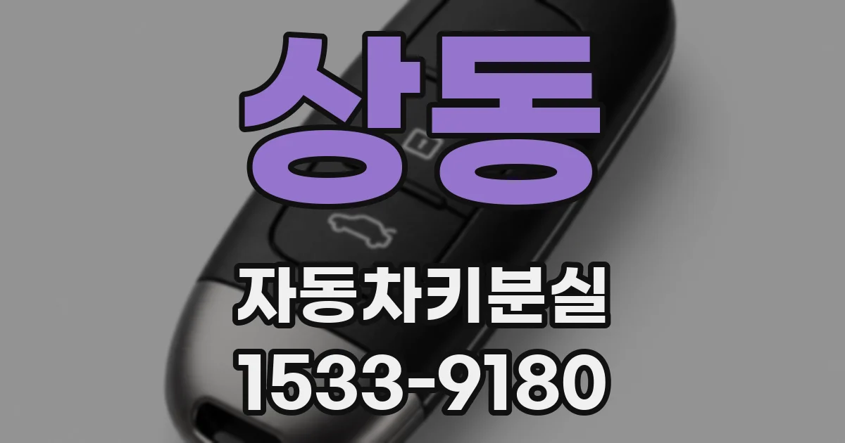 상동 자동차키분실