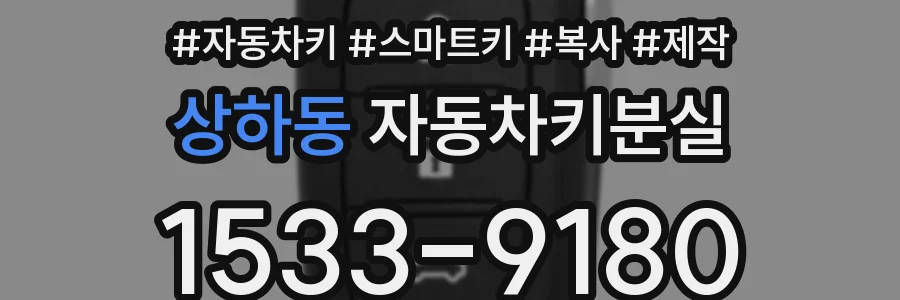 상하동 자동차키분실