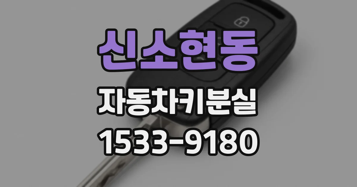 신소현동 자동차키분실