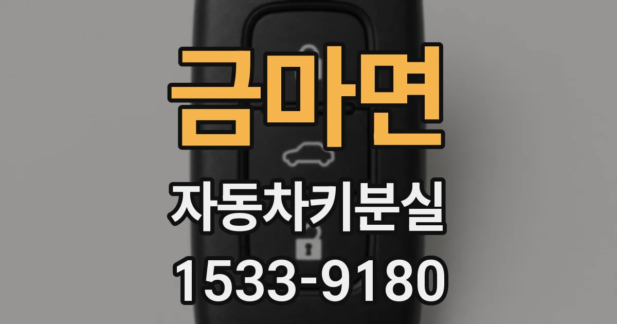 금마면 자동차키분실