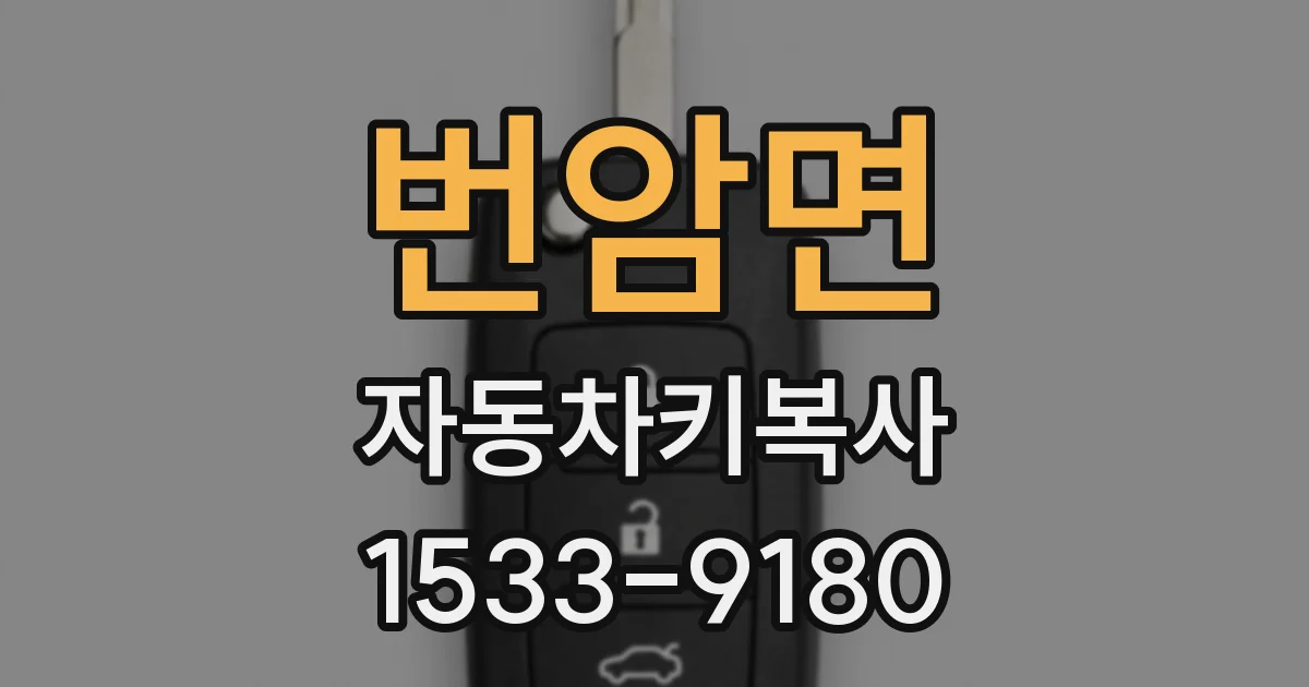 번암면 자동차키복사