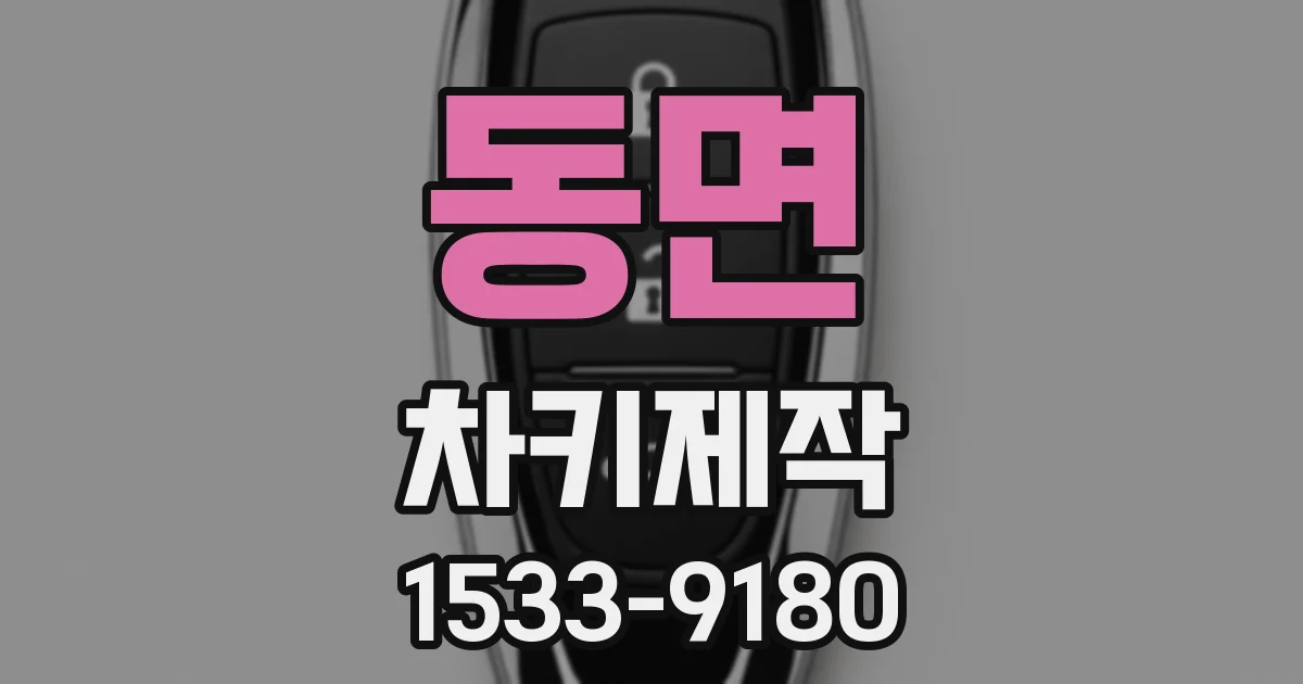 동면 차키제작