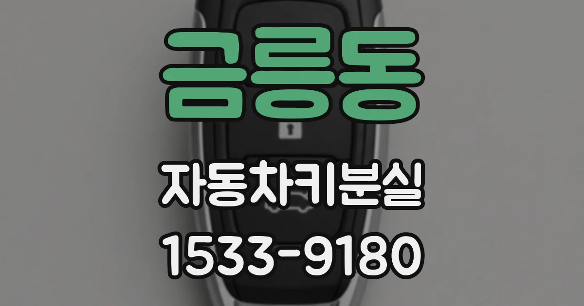 금릉동 자동차키분실