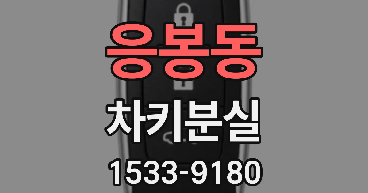 응봉동 차키분실