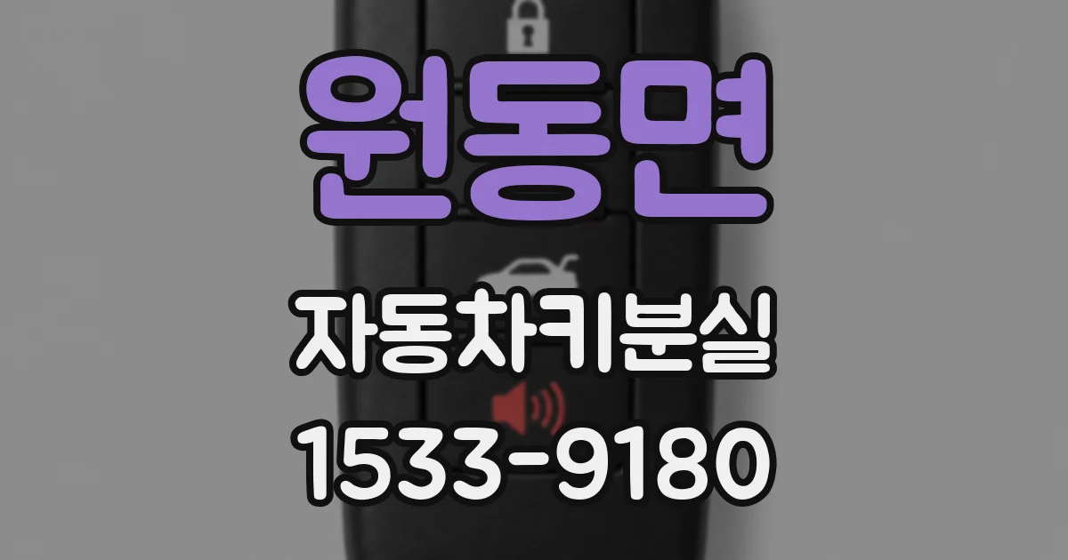 원동면 자동차키분실