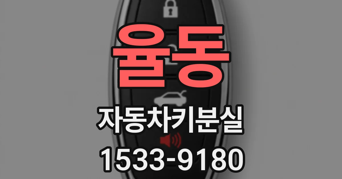 율동 자동차키분실