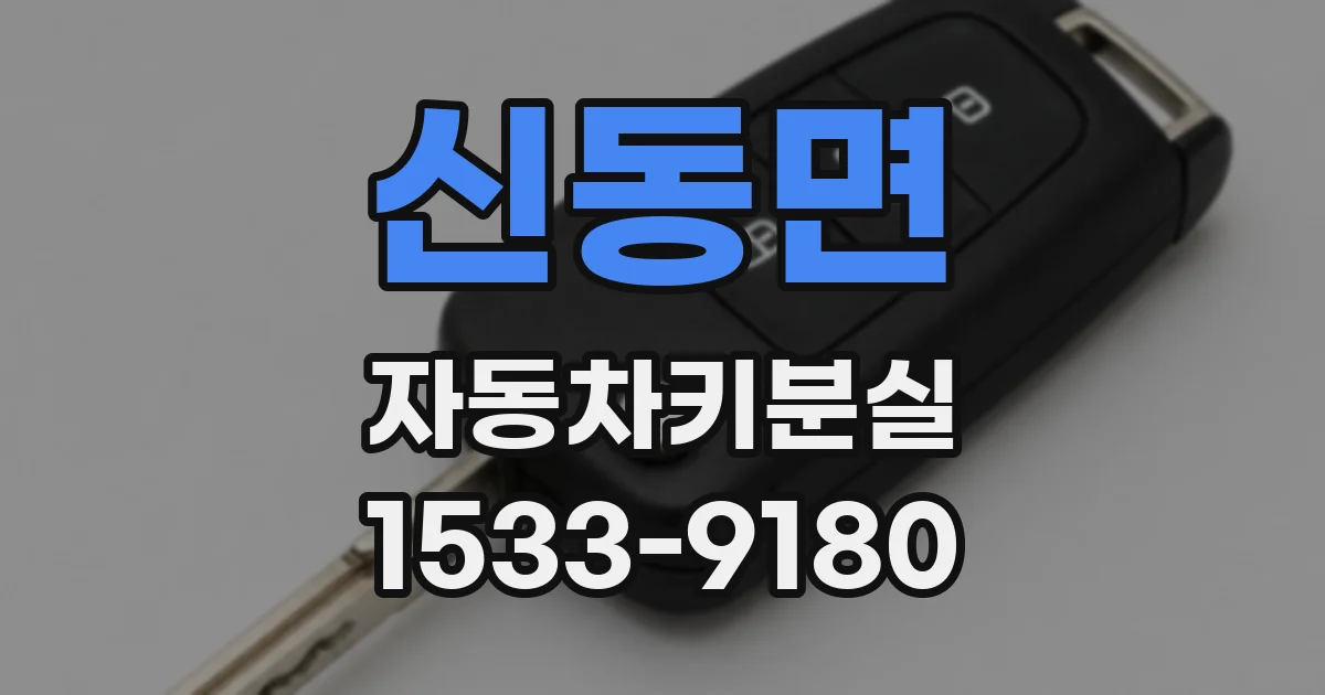 신동면 자동차키분실