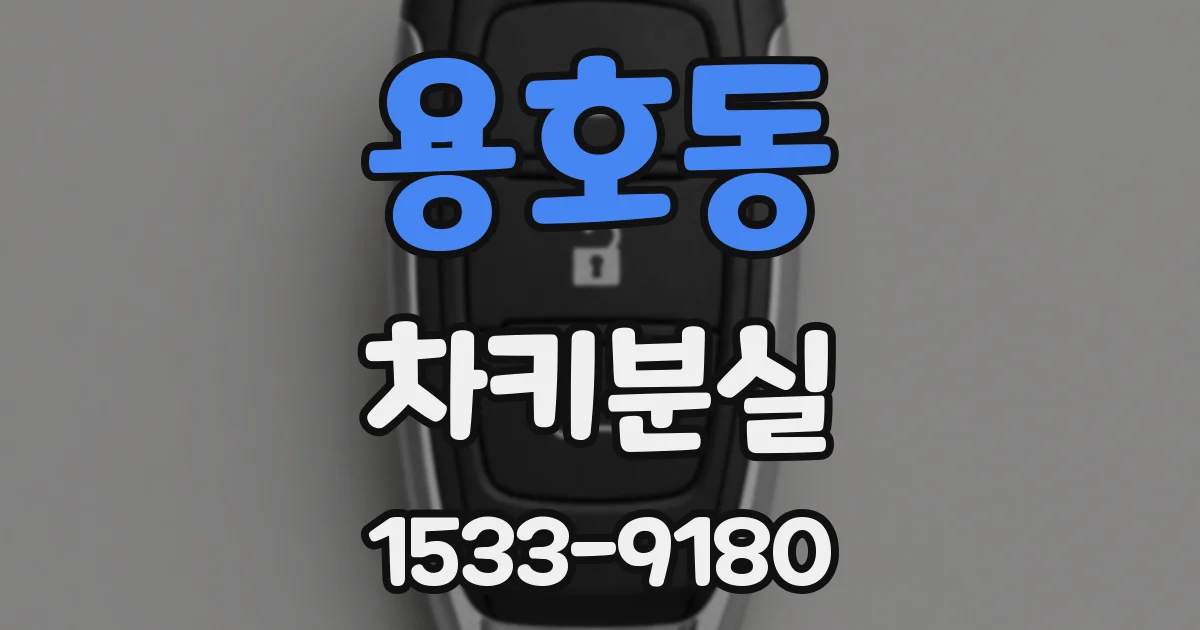 용호동 차키분실