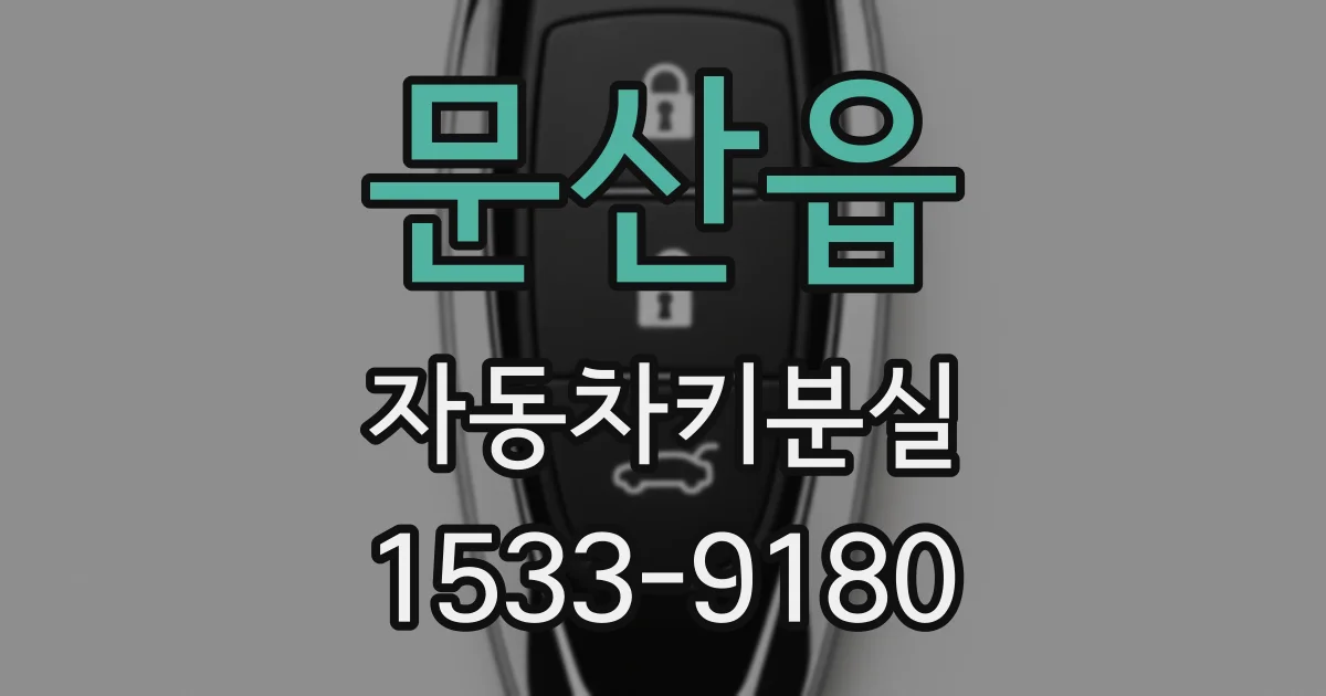 문산읍 자동차키분실