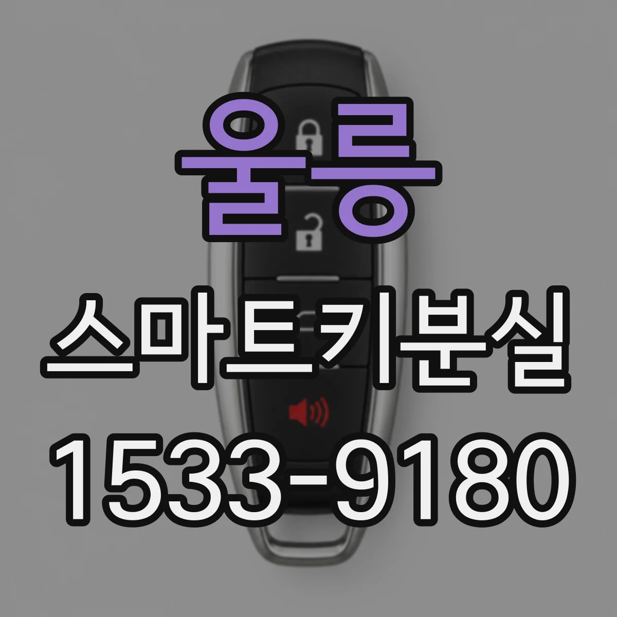 울릉 스마트키분실