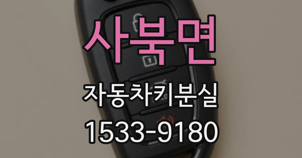 사북면 자동차키분실
