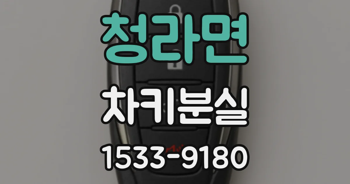 청라면 차키분실