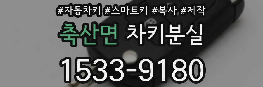 축산면 차키분실