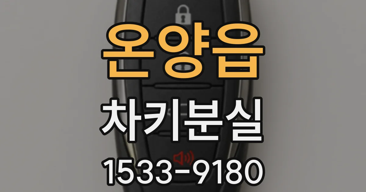 온양읍 차키분실