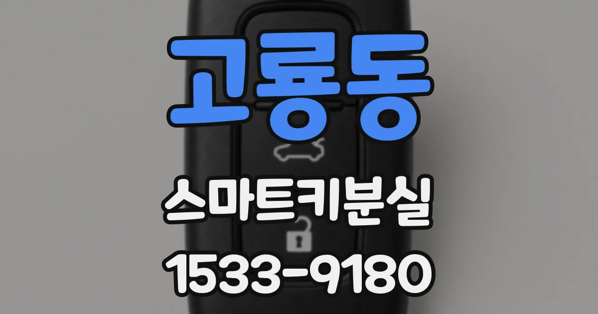 고룡동 스마트키분실