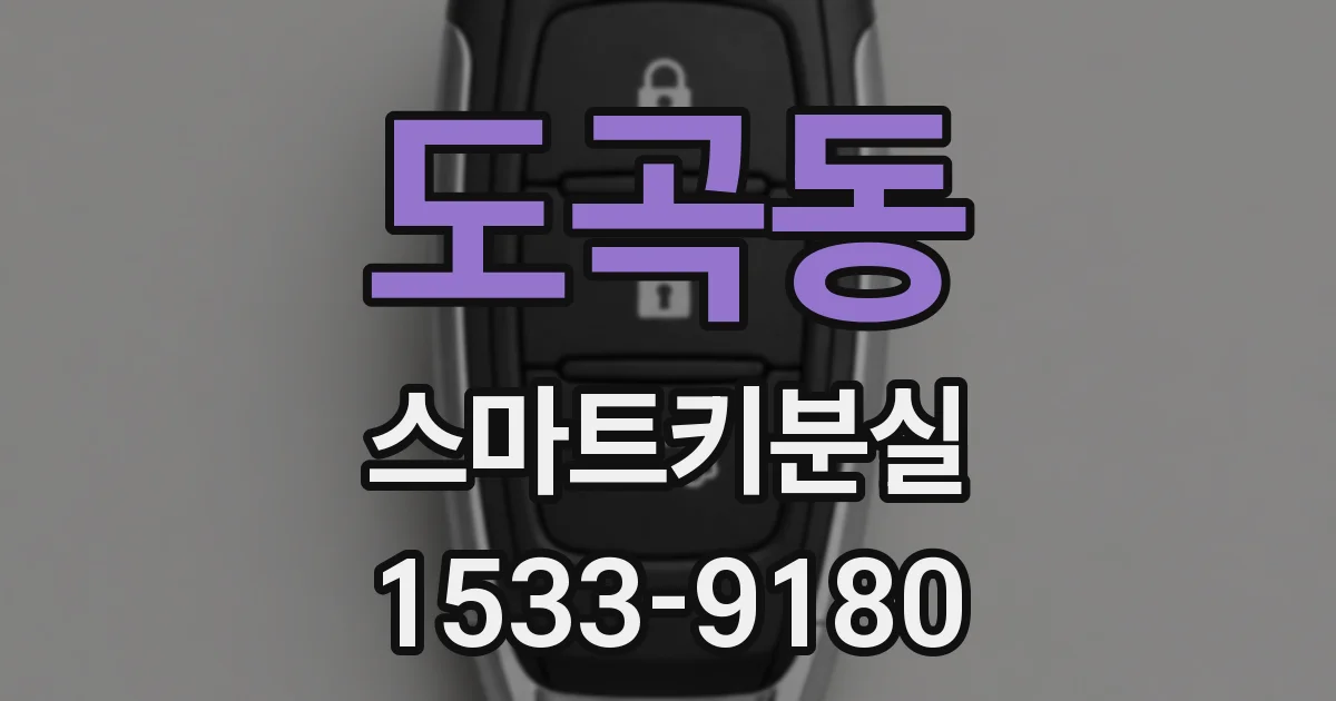 도곡동 스마트키분실