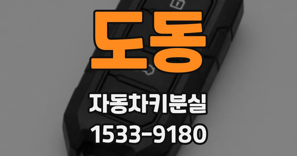 도동 자동차키분실