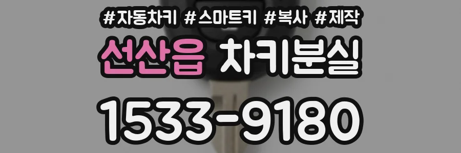 선산읍 차키분실