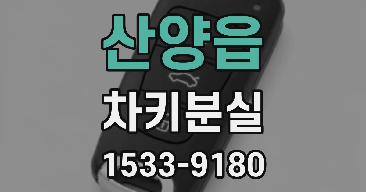 산양읍 차키분실