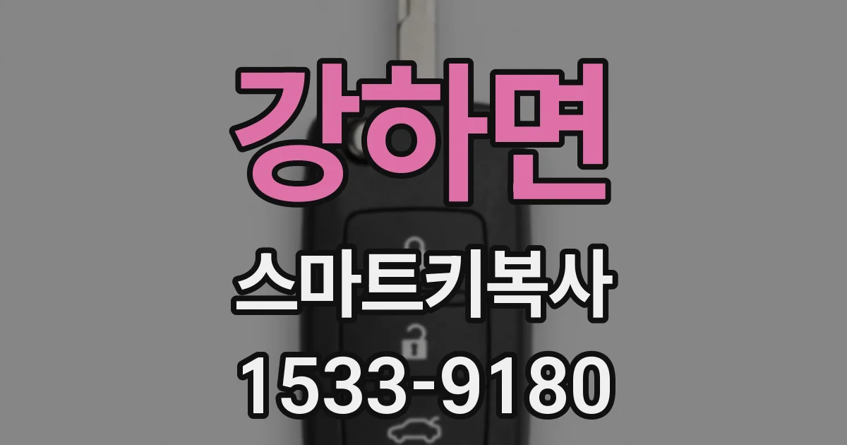 강하면 스마트키복사