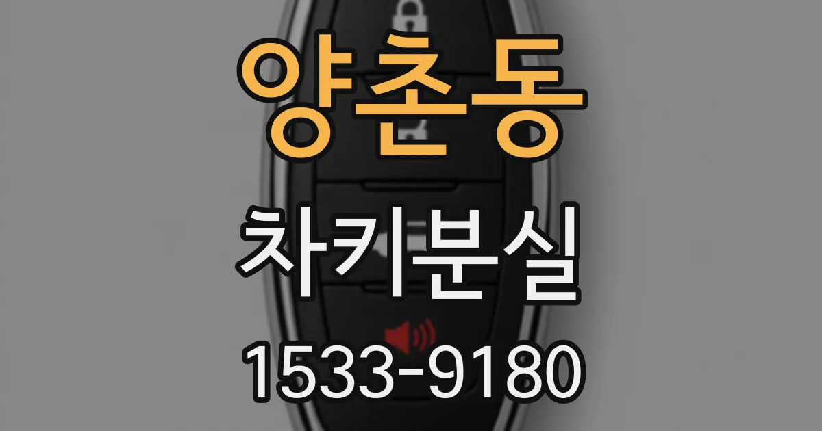 양촌동 차키분실