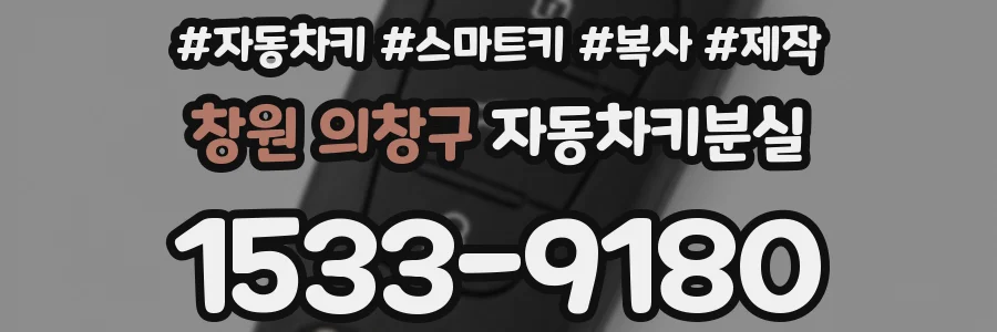 창원 의창구 자동차키분실