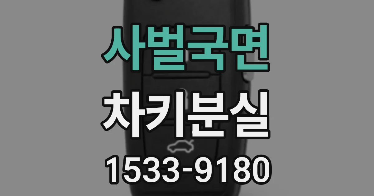 사벌국면 차키분실