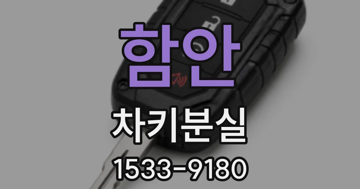 함안 차키분실