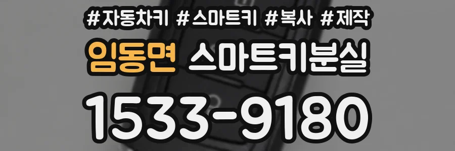 임동면 스마트키분실