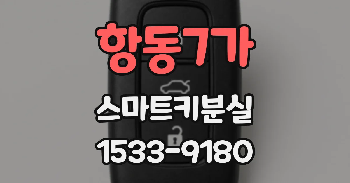 항동7가 스마트키분실