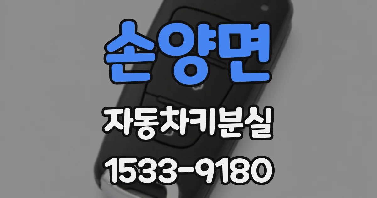 손양면 자동차키분실