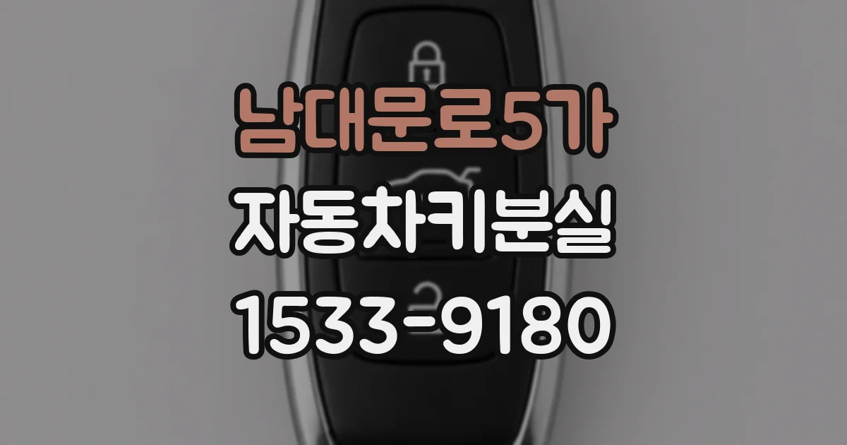 남대문로5가 자동차키분실