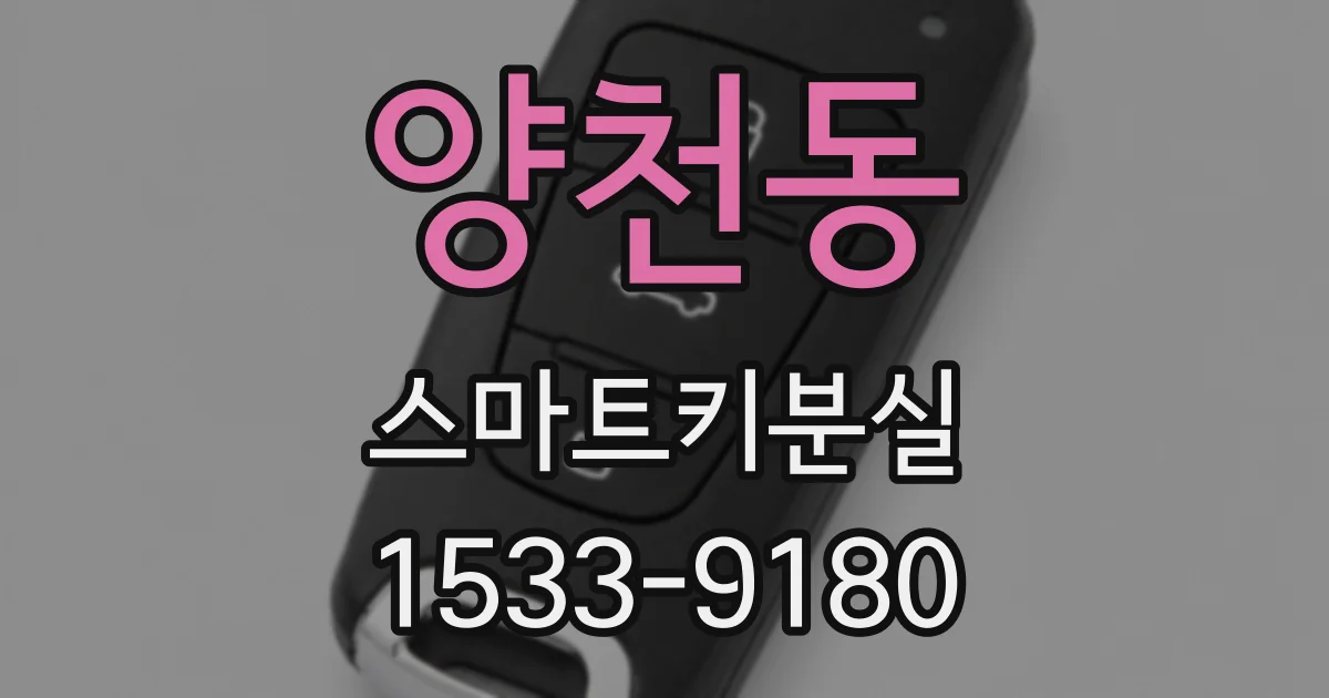 양천동 스마트키분실