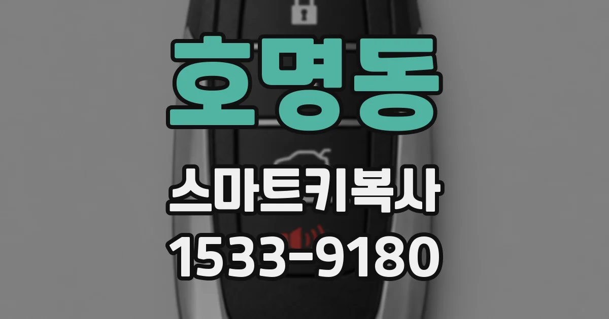 호명동 스마트키복사