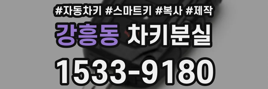 강흥동 차키분실